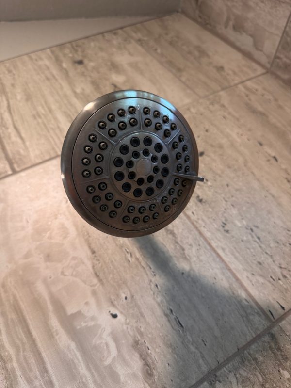 The same shower head after cleaning, seen from a little further back, with its rim and nozzles clear of buildup.